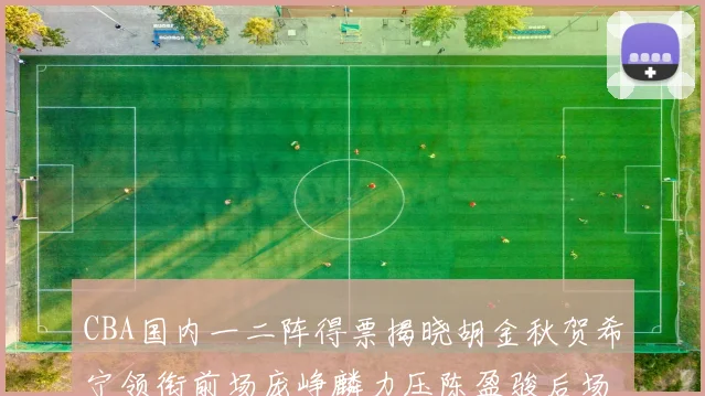 CBA国内一二阵得票揭晓胡金秋贺希宁领衔前场庞峥麟力压陈盈骏后场